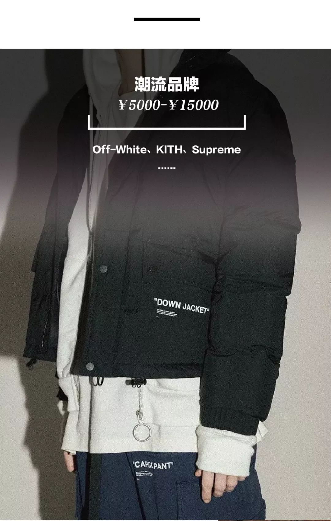 从一百到一千的羽绒服怎么选,男大牌羽绒服怎么选