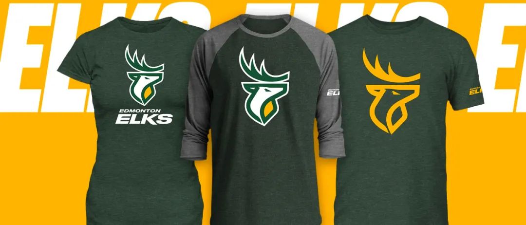 加拿大军队logo,加拿大足球队队旗