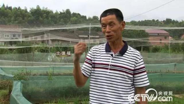 访醴陵市德福青蛙养殖农民专业合作社理事长文德福