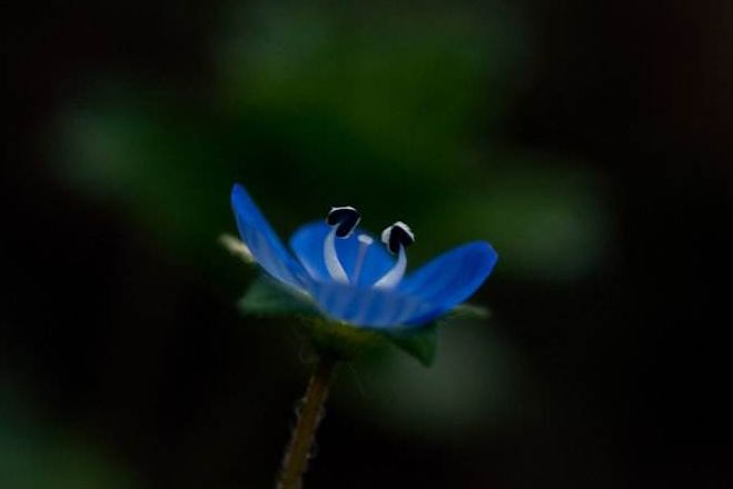 原创诗词七绝新韵,原创诗词五言绝句