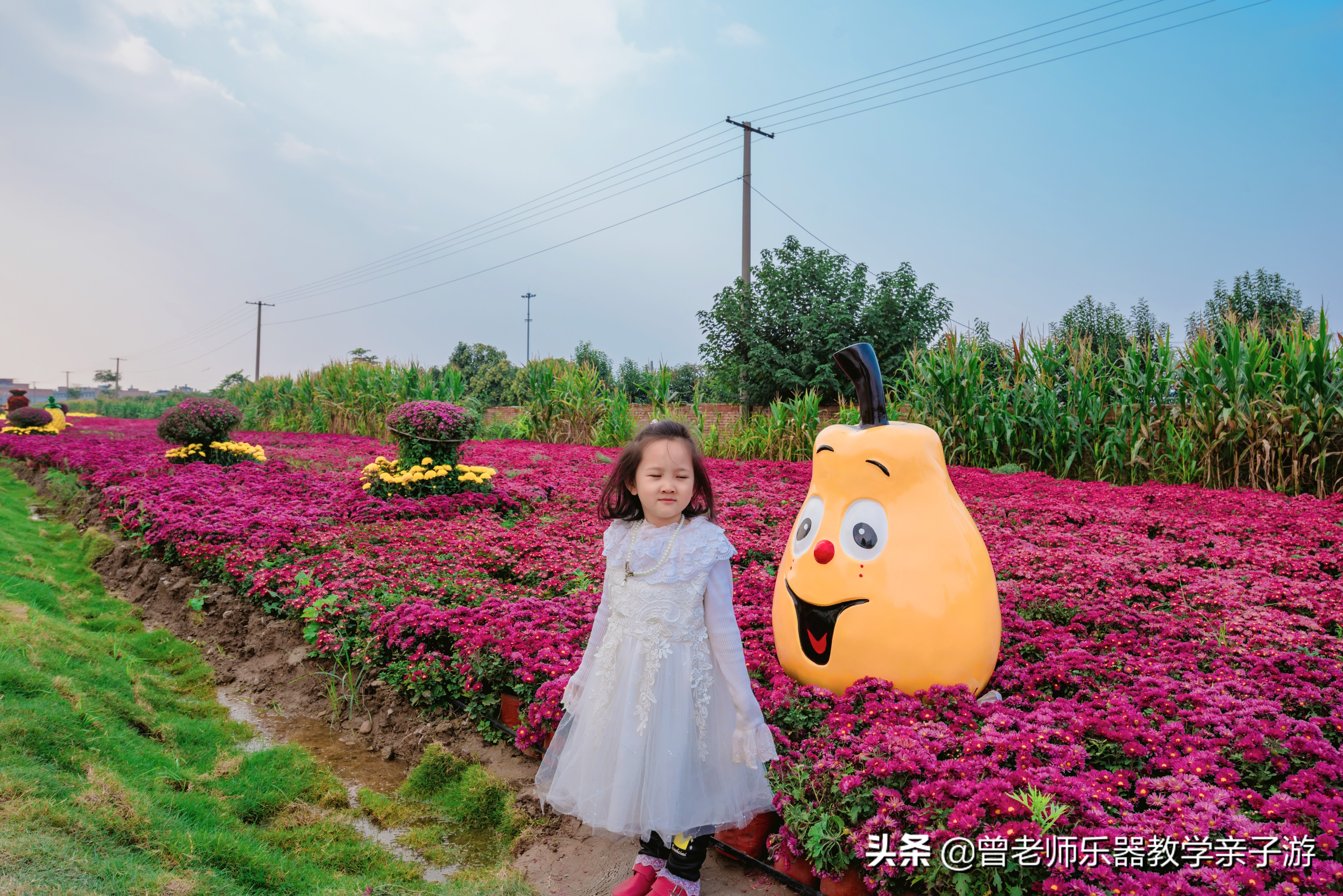 爱菊研学游,爱菊丝路文化菊花园西安