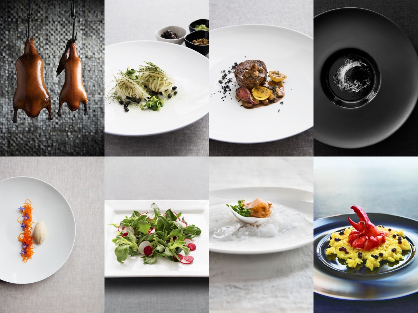 皇家加勒比海洋光谱号需要护照吗,上海皇家加勒比游轮光谱号体验