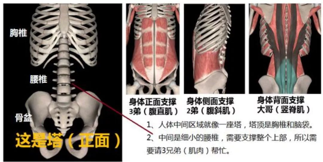 当妈妈腰疼怎么办,八个月腰疼怎么缓解