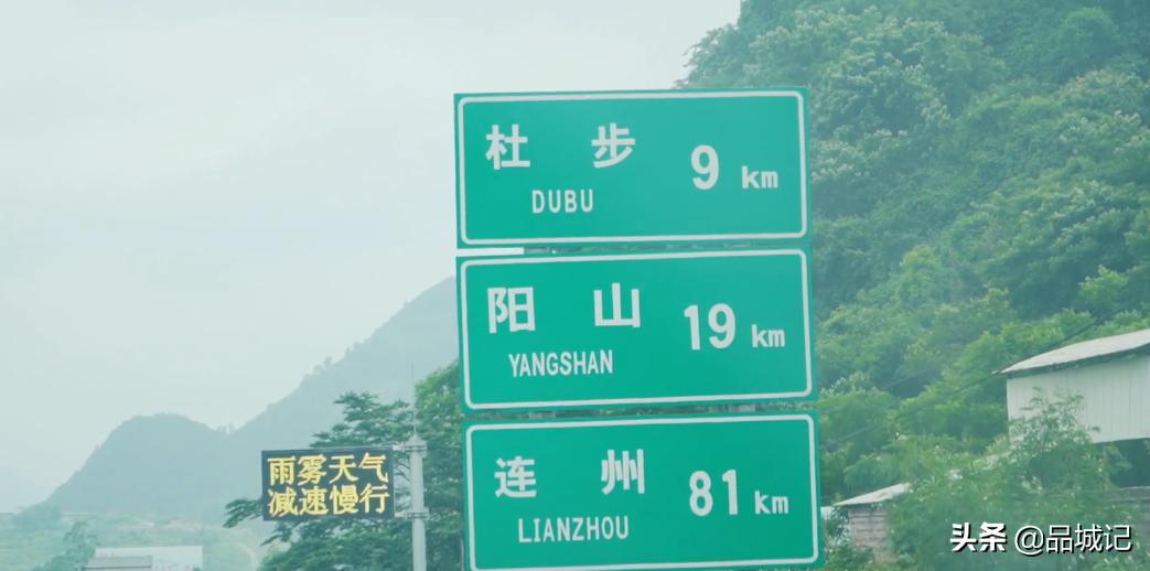 超有鸡味的阳山鸡,广东阳山鸡口感如何