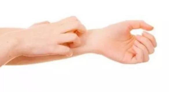 下身有几只阴虱怎么办,内裤上出现虱子卵怎么办