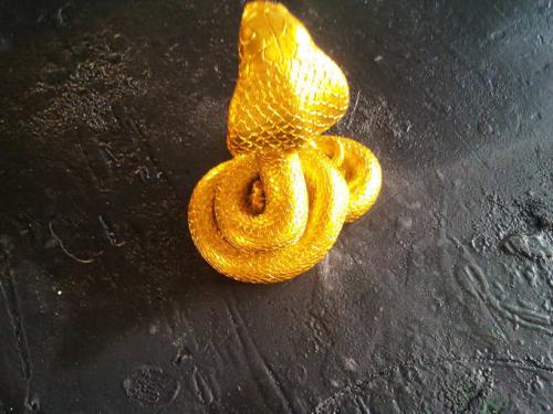 埃及眼镜蛇是什么蛇,埃及大眼镜蛇