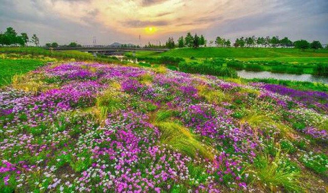 2022上海春节活动汇总,上海旅游文化节