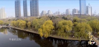 凡是过往皆为序章更新,凡过去皆序章