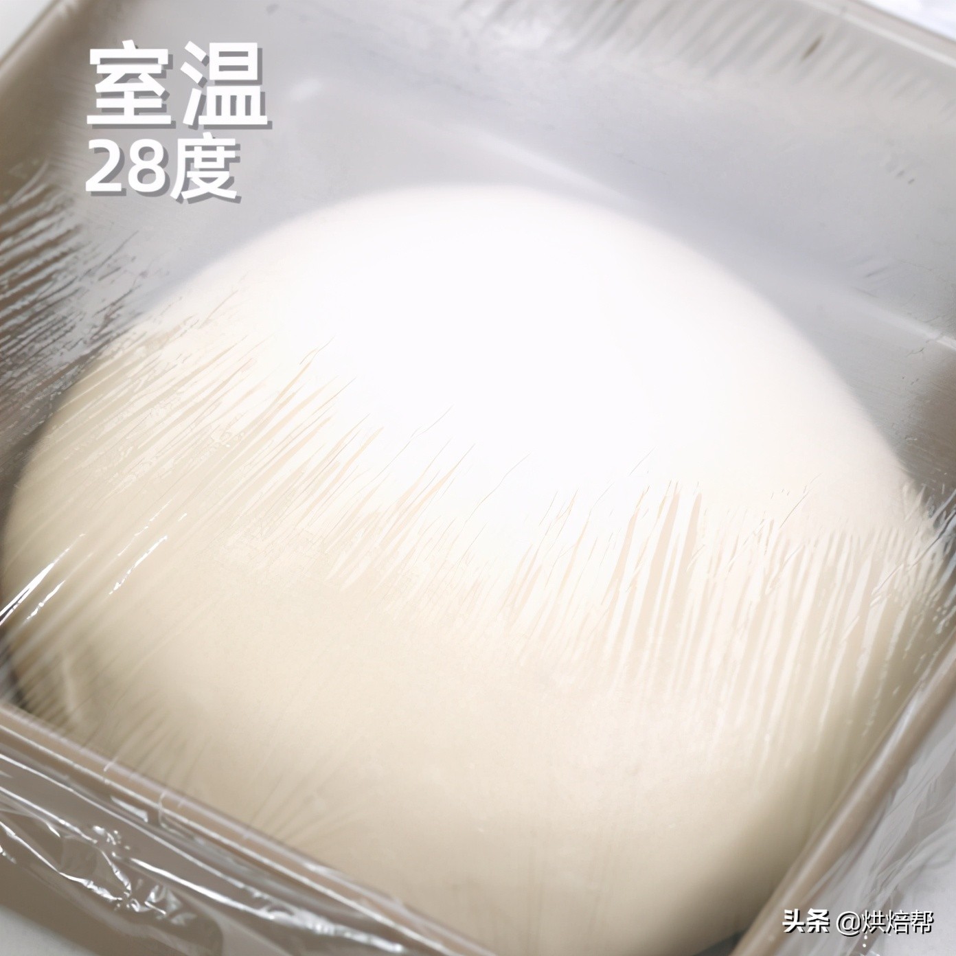 日本爆火吐司,日本生吐司中种