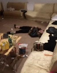 搞笑gif你们这些城里人太会玩了,搞笑gif逗比的世界你永远理解不了