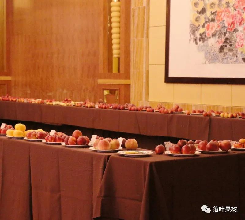 中国桃产业转型升级,桃产业转型升级的思考