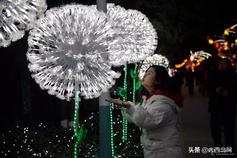 2023年西固灯会亮灯时间,西固灯会2022几点亮灯