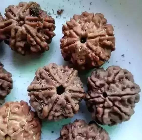 菩提手串掉色有毒吗,菩提手串生虫