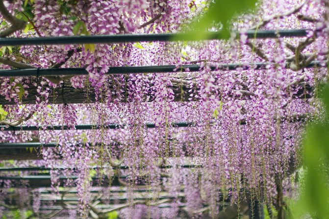 日本冈山旅游自由行,日本冈山旅游攻略