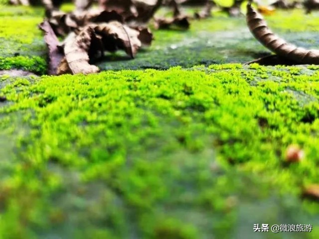 阴阳井之谜,揭开天干地支的秘密