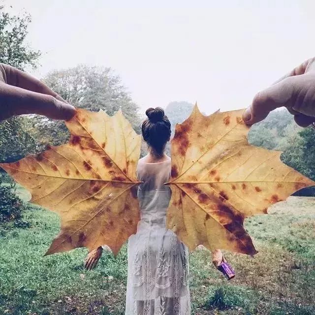 广东真的没有秋天凉吗,广东是没有秋天的吗文案