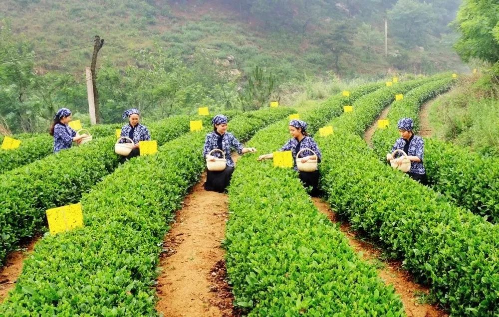 市场监管局的工作你觉得怎么样,市场监管局是干什么的是工商局吗