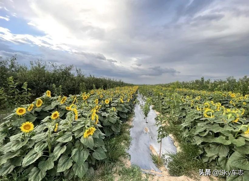 7万公里老款宝马x5,宝马x5的优缺点