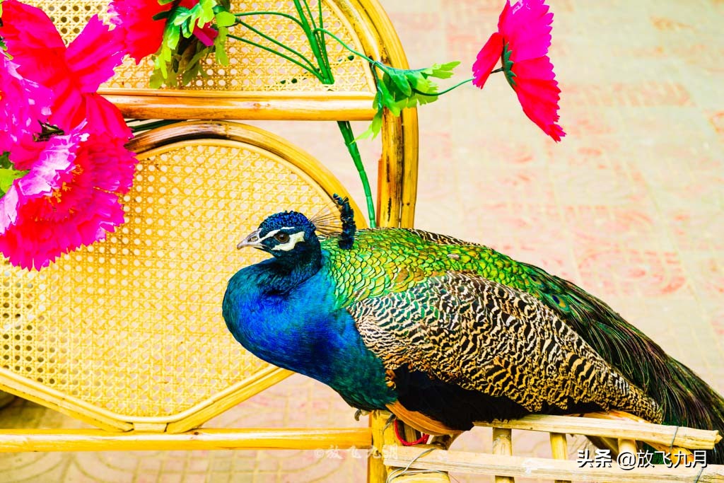 云南的中缅边境,云南缅甸边境线旅游