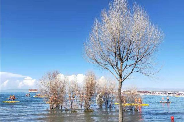 青甘大环线高反,旅游青甘大环线