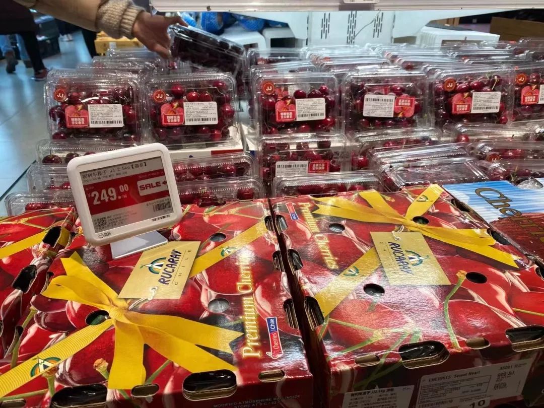 进口车厘子到国内第一站,出口级车厘子