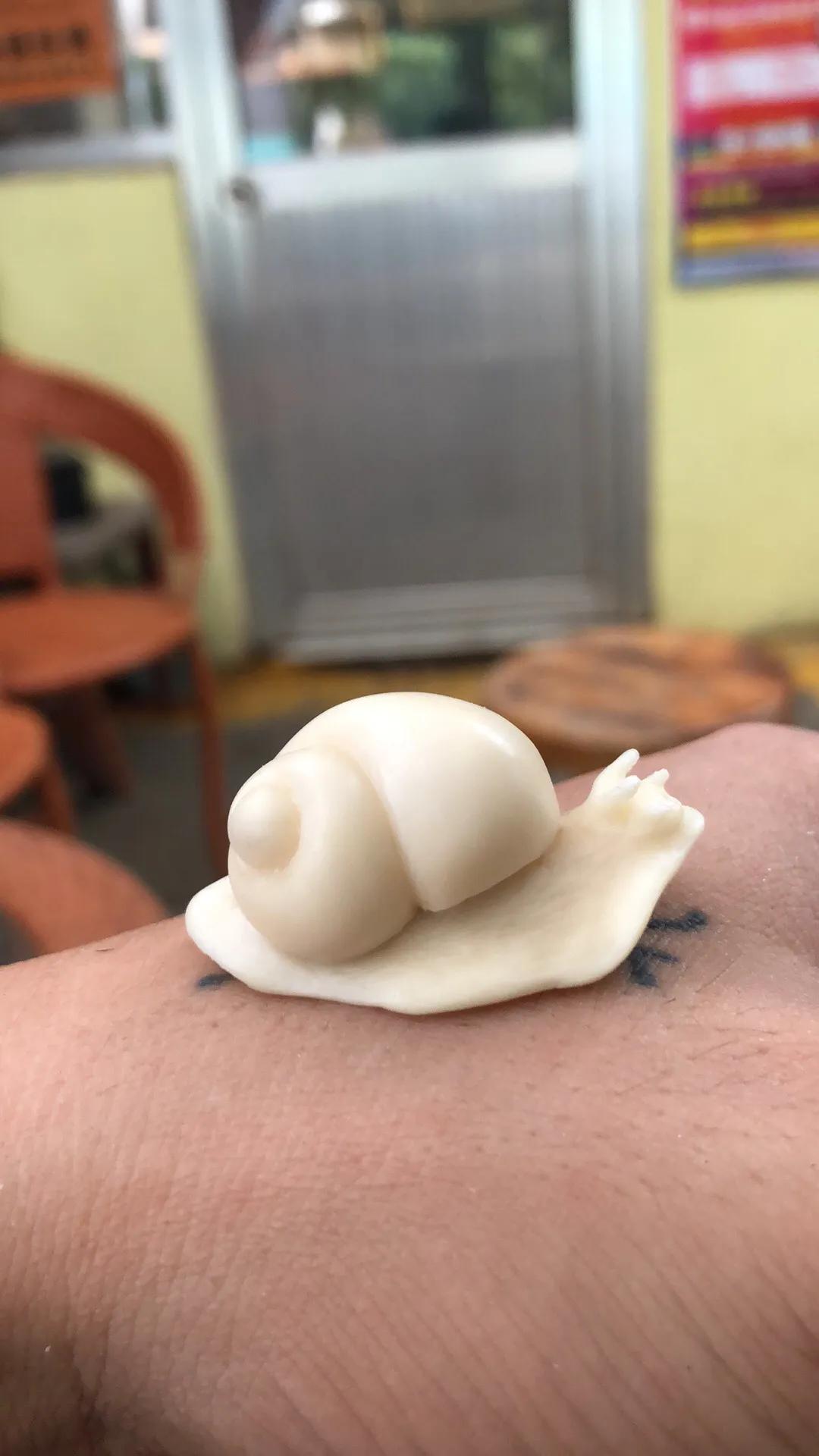 为什么我们的生活这么丰富多彩,生活为什么是丰富多彩的