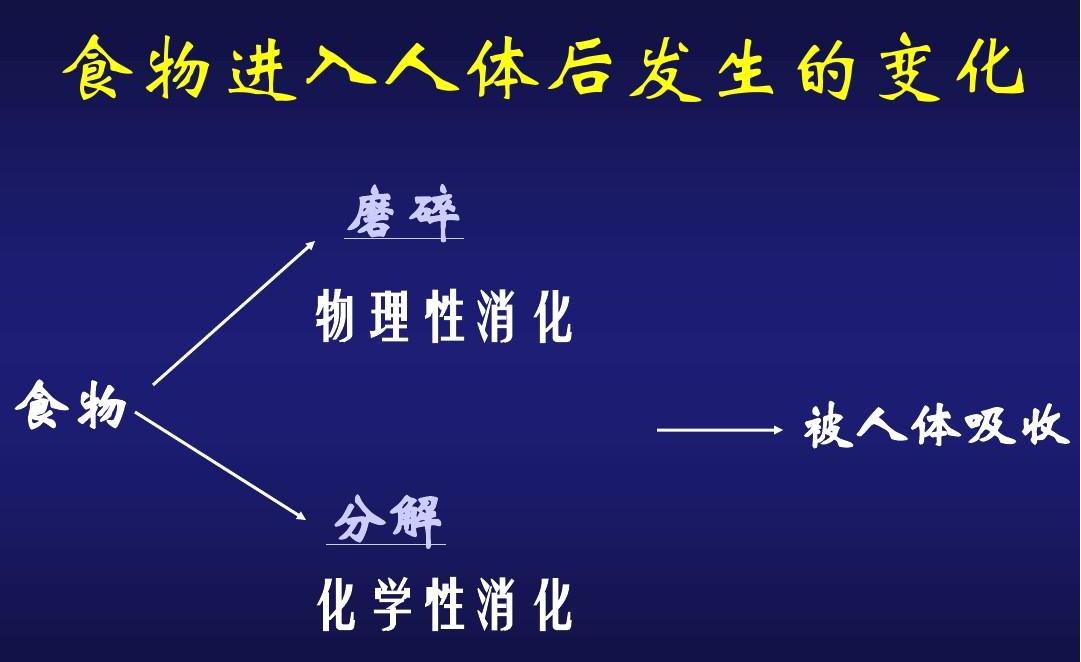 瘦子怎么吃才能长胖？瘦人增肥饮食3要素，全做到了你就能长胖