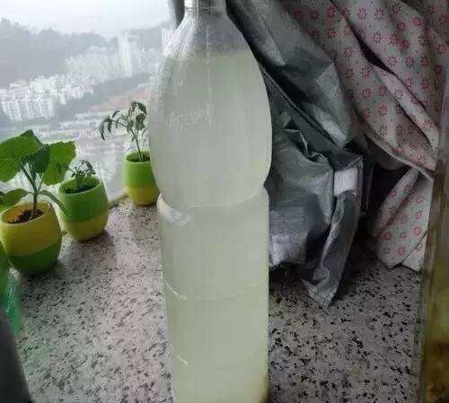 养花施肥用什么肥料效果好,养花施肥用什么肥料