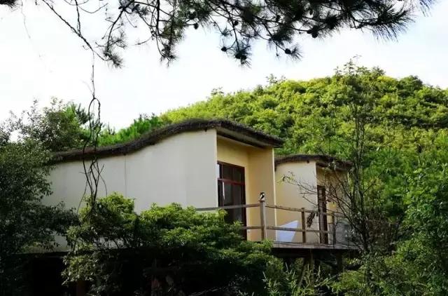 端午旅游推荐2-3天游长沙,端午长沙周边游旅游攻略