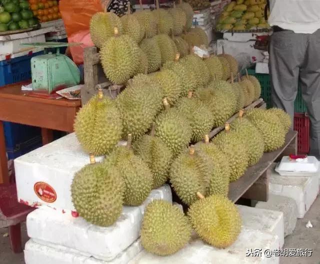 邓紫棋吃马来西亚美食,邓紫棋推荐香港美食