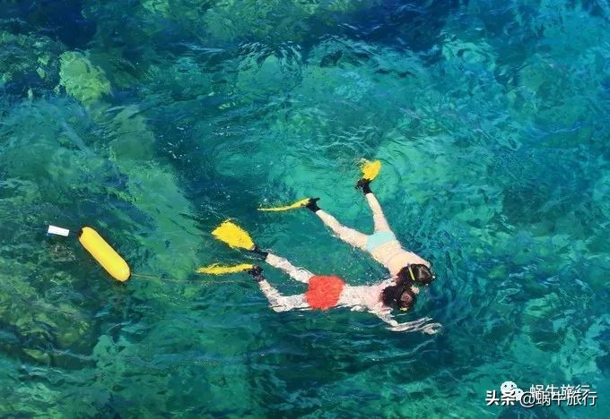 巨蜥像退休大爷休闲漫步；满海的活珊瑚、海葵…国家公园开岛啦