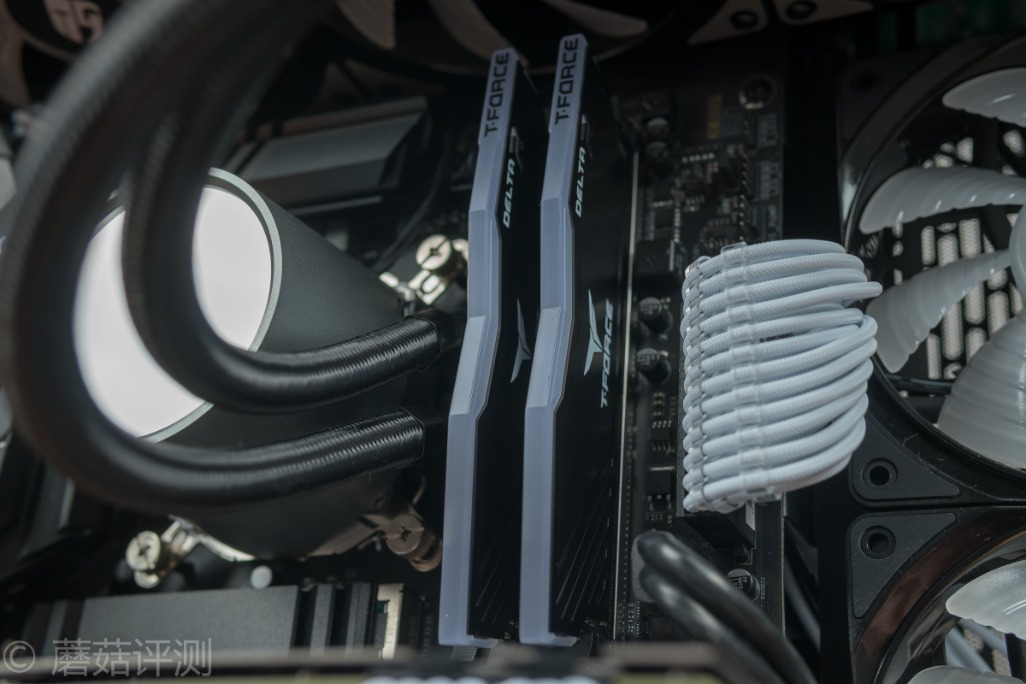 十铨deltargb,十铨team内存几线品牌