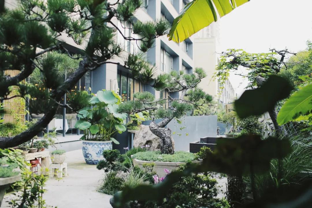 用三年时间雕琢洛河边上的西湖味道，劳斯莱斯级别的美食享受