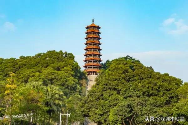 深圳完全免费的十大景点,深圳10大免费景点上集