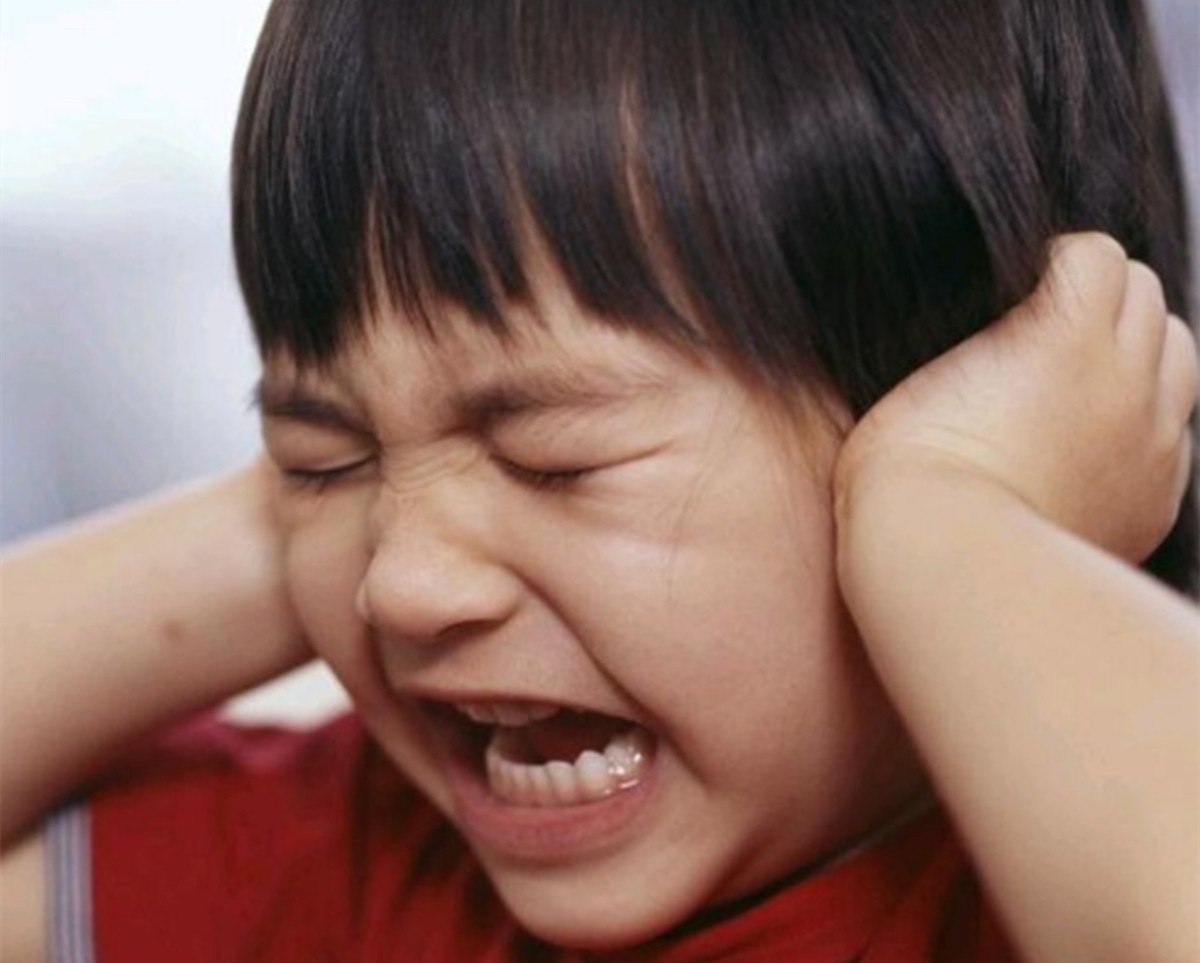 孩子耳朵里进虫子,孩子耳朵进虫子了怎么办