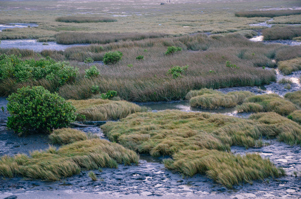 地方叫高美湿地,绝美滩涂,吸引了无数人来打卡日落美景