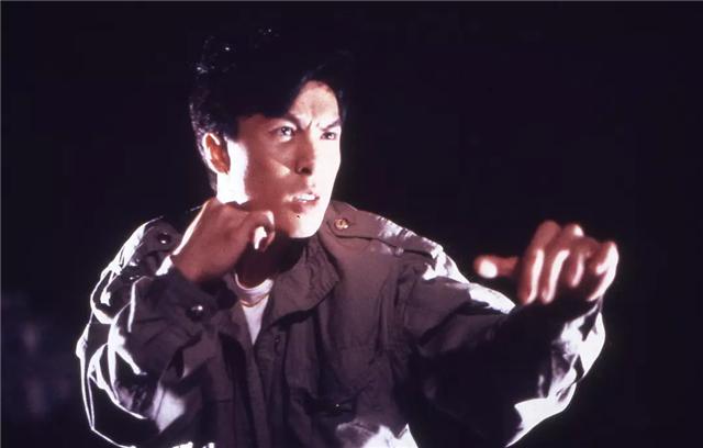 甄子丹十部巅峰动作片,甄子丹拍得最好的一部动作片