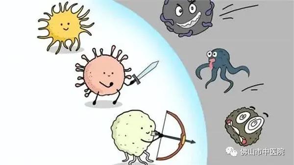 中医特效药中成药大全,中医教你做特效药