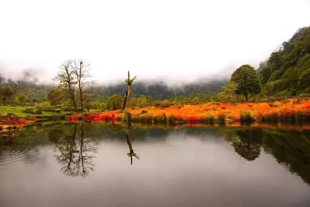 红了！黑竹沟迎来颜值巅峰，分分钟带你穿越五彩童话世界