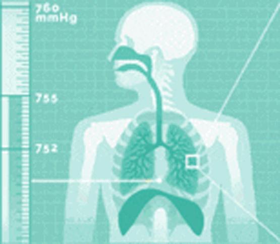 喷嚏憋不住,喷嚏打不出来憋得难受怎么回事
