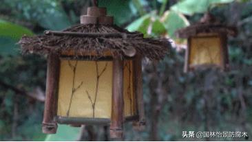 一生一木,一生一木家居