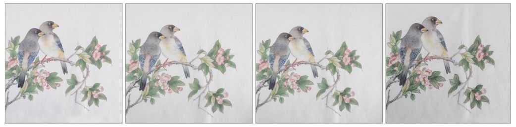 蜡嘴雀工笔画,蜡嘴鸟画画教程