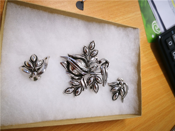 在新西兰免费捡果子,在新西兰捡鲍鱼