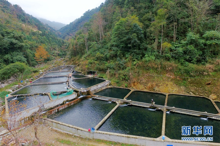 美人鱼白手起家,美人鱼创业