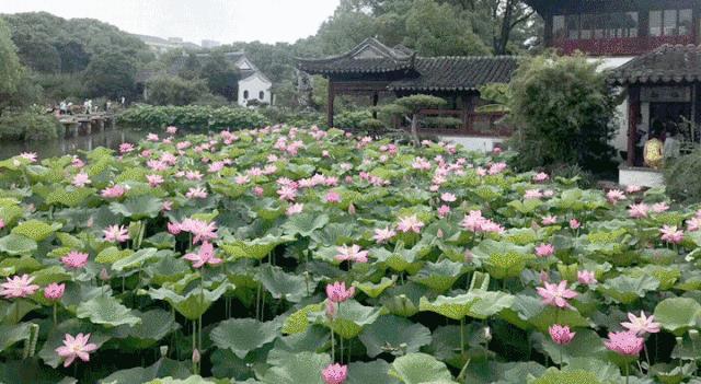 从张家港站出发的旅游线路,从张家港出发