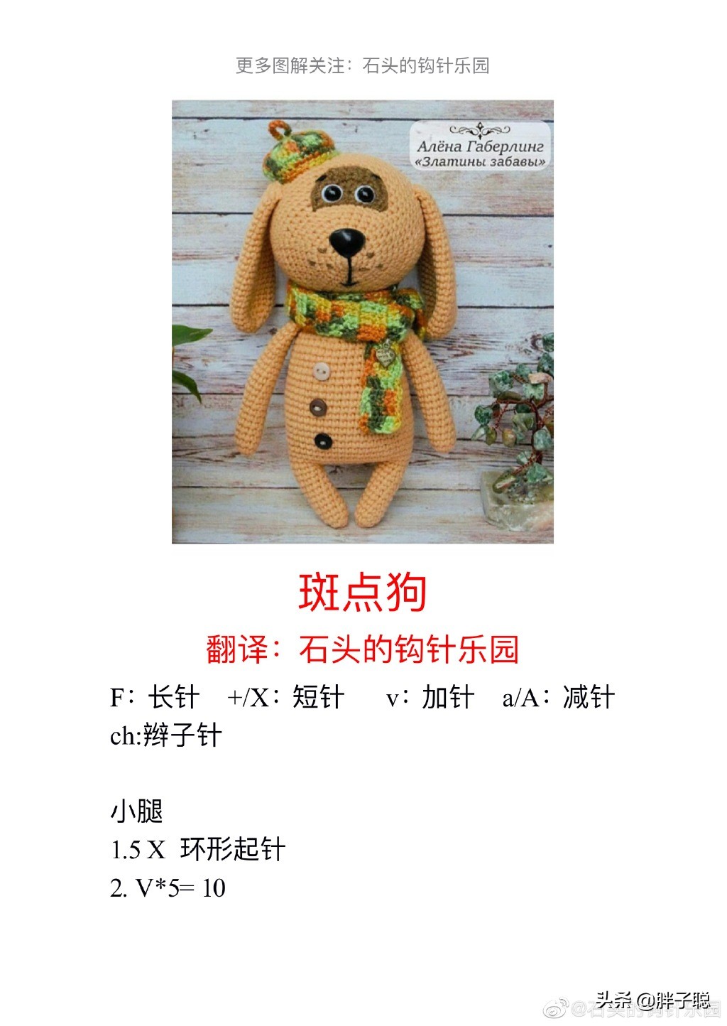 带斑点的狗狗品种,带斑点的狗狗