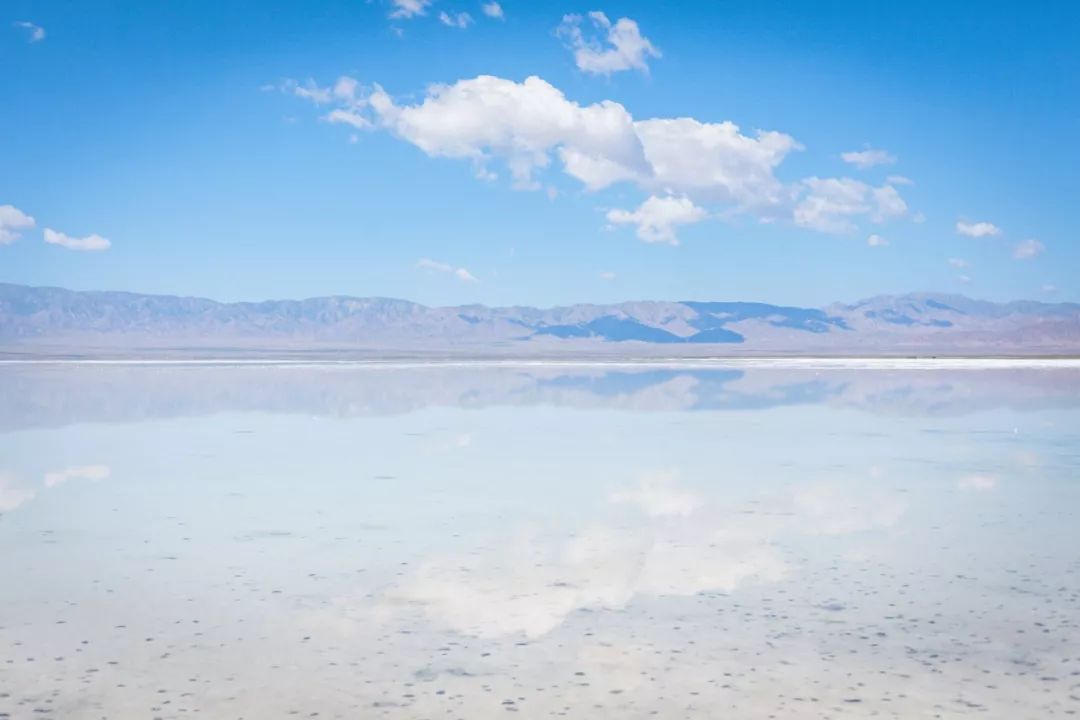 只要你面朝青海湖，八月依旧春暖花开