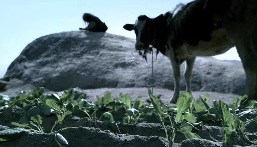 《斗牛》：苦难终将过去，只要熬下去，终会活下去