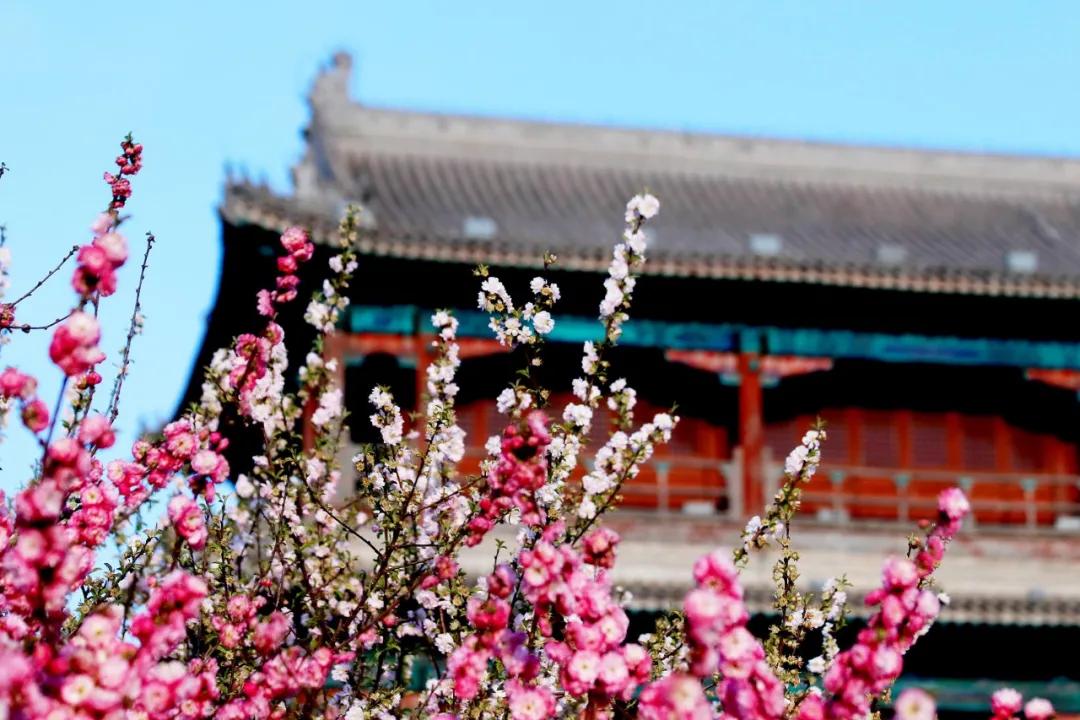 《道德经》：四种处世大智慧，读后受益