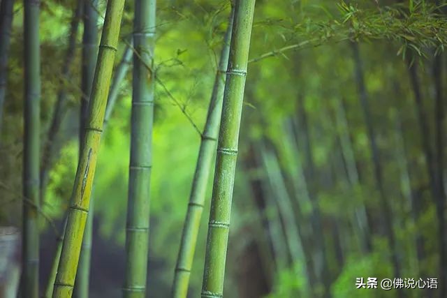 再生气也要控制情绪,生气了有没有最好的办法消气